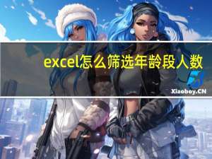 excel怎么筛选年龄段人数（excel怎么筛选年龄段）