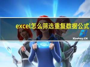 excel怎么筛选重复数据公式（excel怎么筛选重复数据并合并）