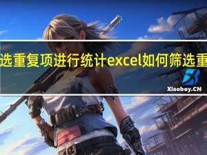 excel怎样筛选重复项 进行统计 excel如何筛选重复数据并统计数量