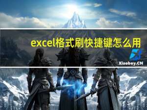 excel格式刷快捷键怎么用（excel格式刷快捷键是什么）