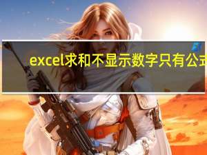 excel求和不显示数字只有公式（excel 求和）