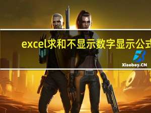 excel求和不显示数字显示公式（excle求和不显示数字）