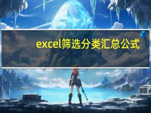 excel筛选分类汇总公式（excel筛选分类汇总）