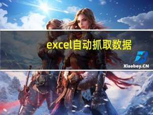 excel自动抓取数据（excel使用）