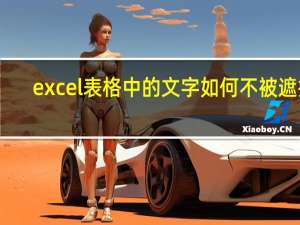 excel表格中的文字如何不被遮挡