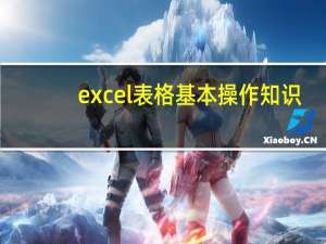 excel表格基本操作知识（excel2007表格的基本操作）