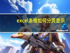 excel表格如何分页显示（excel表格如何分页）