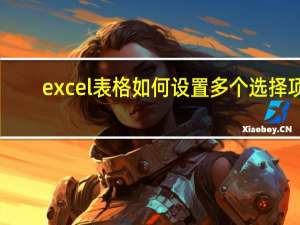 excel表格如何设置多个选择项