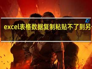 excel表格数据复制粘贴不了到另一个