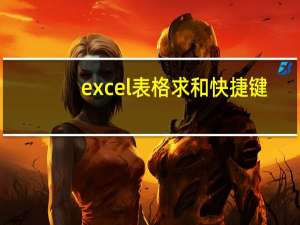 excel表格求和快捷键（excel表格求和）