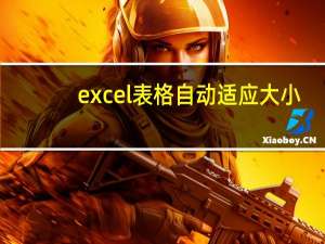 excel表格自动适应大小（excel表格自适应大小）