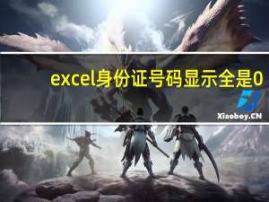 excel身份证号码显示全是0（excel身份证号码输入）