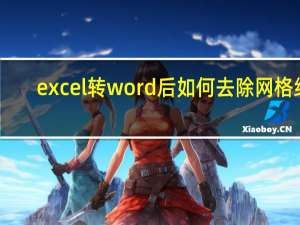 excel转word后如何去除网格线（excel转word怎么转）