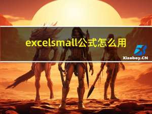 excelsmall公式怎么用（excelsmall）