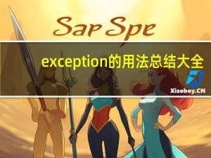 exception的用法总结大全