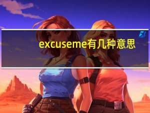 excuseme有几种意思