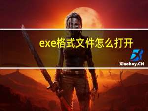 exe格式文件怎么打开（exe格式）