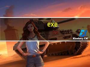 exe（exe）
