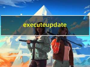 executeupdate
