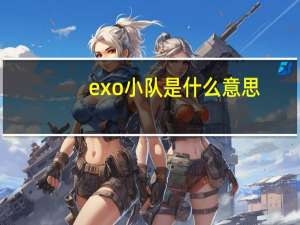 exo小队是什么意思