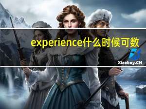 experience什么时候可数