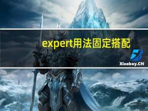 expert用法固定搭配