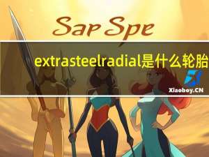 extra steel radial是什么轮胎
