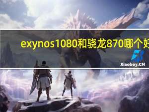 exynos1080和骁龙870哪个好（exynos）