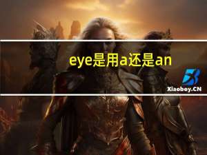 eye是用a还是an