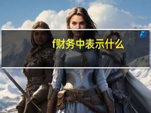 f财务中表示什么
