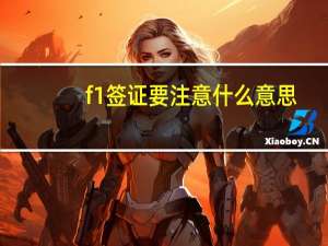 f1签证要注意什么意思