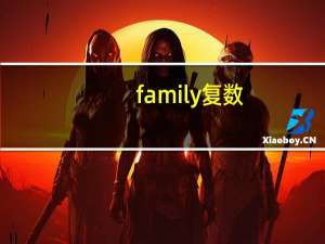 family复数