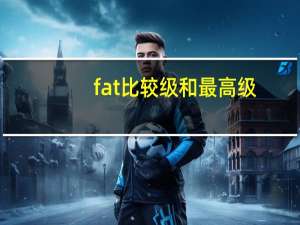 fat比较级和最高级