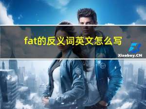 fat的反义词英文怎么写（fat的反义词）