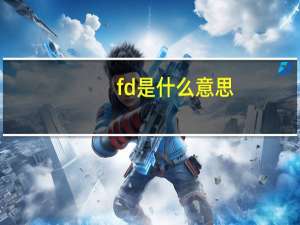 fd是什么意思