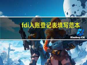 fdi入账登记表填写范本（fdi入账登记表）