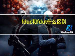 fduc和fdut什么区别