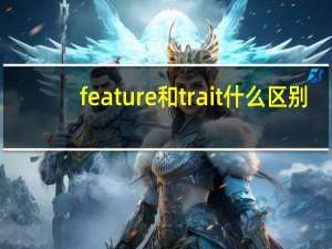 feature和trait什么区别