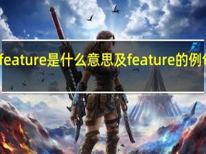 feature是什么意思及feature的例句汇总