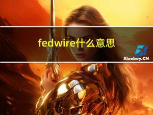 fedwire什么意思（fedwire）