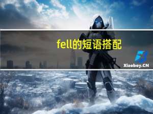 fell的短语搭配