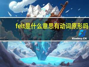 felt是什么意思有动词原形吗（felt是什么意思）