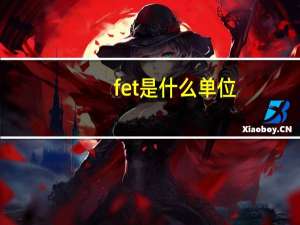 fet是什么单位