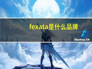 fexata是什么品牌