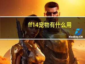 ff14宠物有什么用