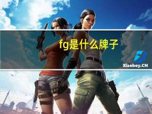 fg是什么牌子