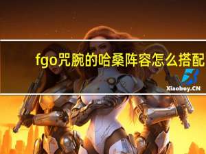 fgo咒腕的哈桑阵容怎么搭配