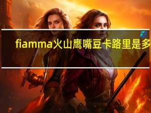 fiamma 火山鹰嘴豆卡路里是多少