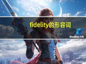 fidelity的形容词