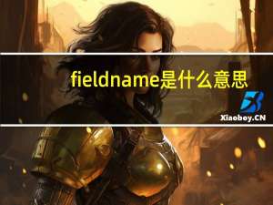 fieldname是什么意思